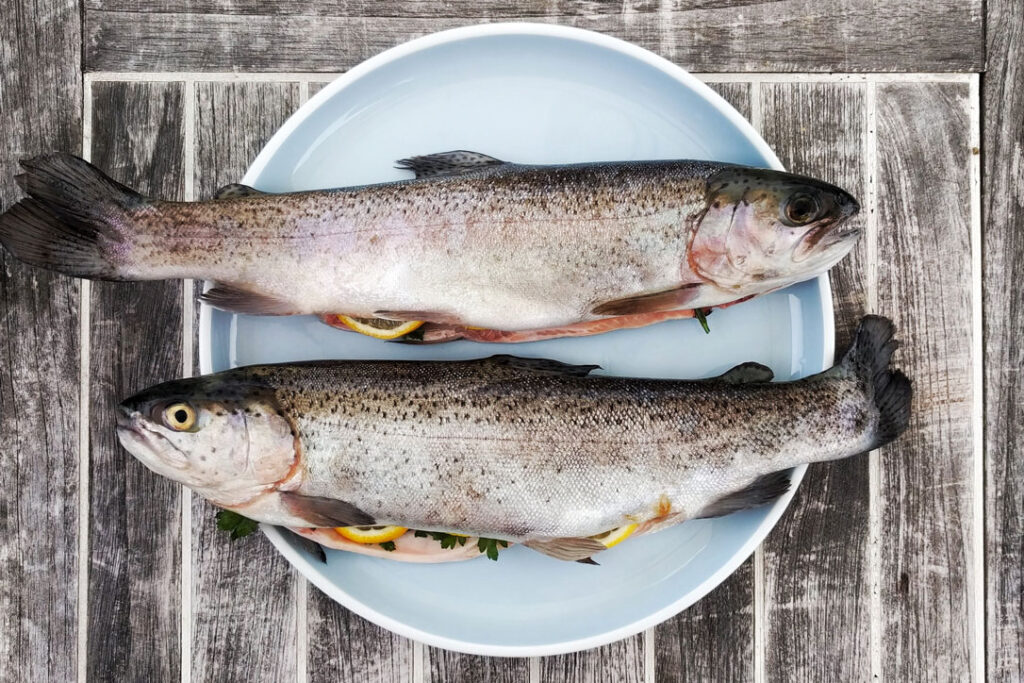 Fisch Kochkurs beim Bärenwirt